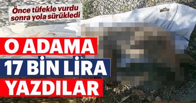 Ayıyı vuran adama şok ceza