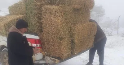 Zorlu kış şartlarında yaban hayatına destek: Sessiz kahramanlar sahada #kirsehir
