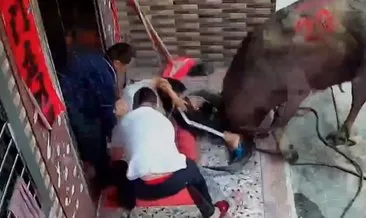 Evinin önünde duran anne ve bebeğe bufalo saldırdı