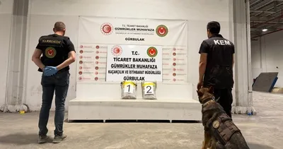 Gürbulak'ta oyuncak gitar ve TIR'a gizlenen 23 kilodan fazla uyuşturucu ele geçirildi #agri