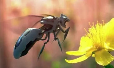 Polen yayacak robot arı üretildi