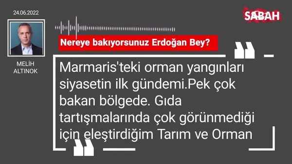 Melih Altınok | Nereye bakıyorsunuz Erdoğan Bey?