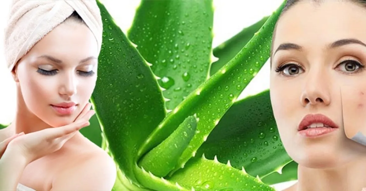 Krauterhof Aloe Vera Jel 250 Ml Watsons