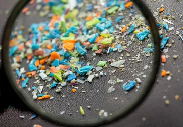 Araştırma sonuçları şaşırttı! Bu gıda mikroplastiklerin atılmasına yardımcı olabilir