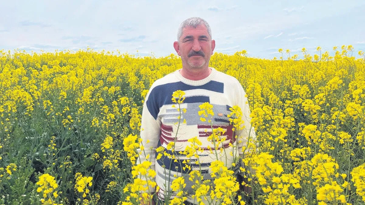 Kanola bereketi yüz güldürdü