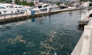 İstinye sahilinde rezalet manzara