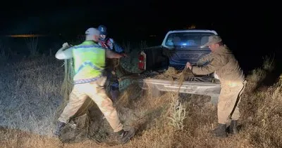 Van'da Jandarma ekipleri kaçak balıkçılara göz açtırmıyor #van