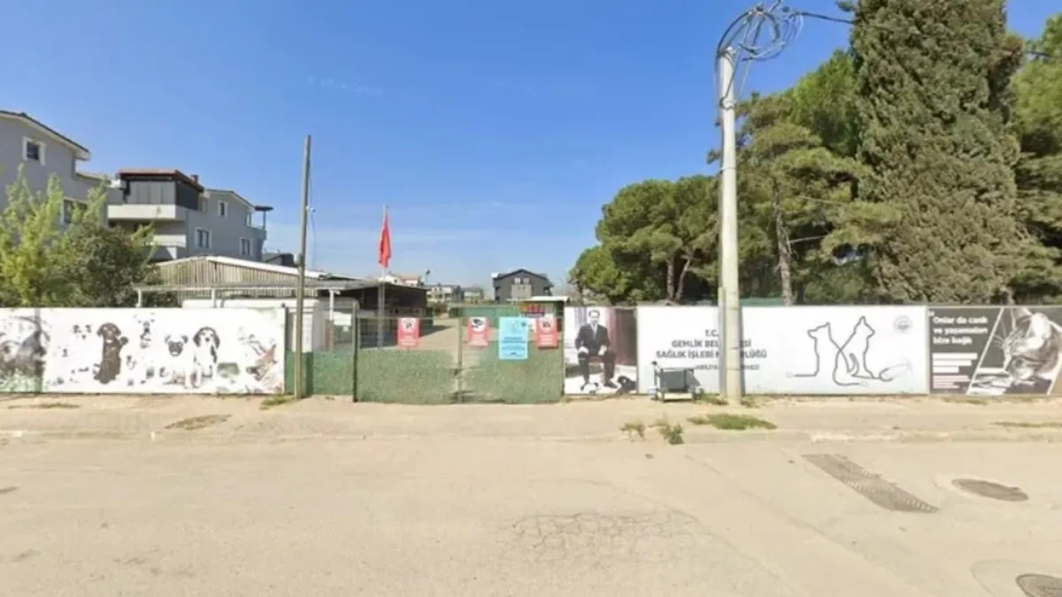 Aç bırakılan köpeklerin birbirini yediği barınakta bir skandal daha Aç bırakılan köpeklerin birbirini yediği barınakta bir skandal daha