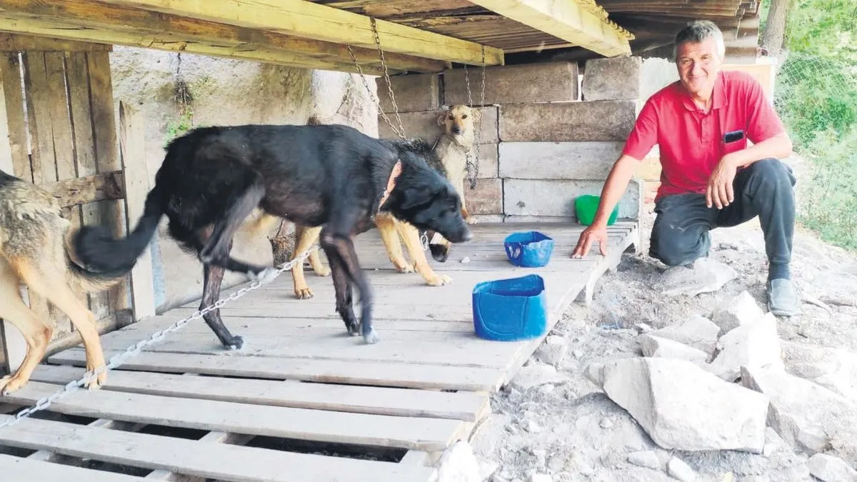 Kısırlaştırılmış 85 köpeğe bakıyor: Tek başına CHP’li belediyelere bedel