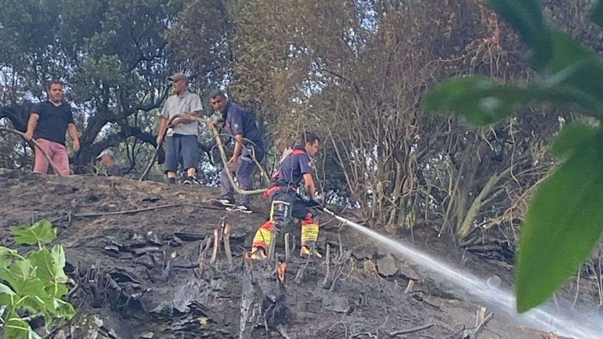 Balıkesir’de otluk alanda çıkan yangın büyümeden söndürüldü Balıkesir’de otluk alanda çıkan yangın büyümeden söndürüldü