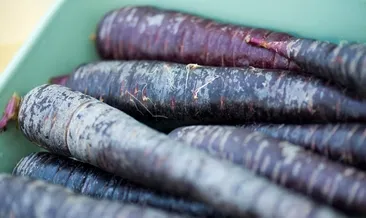 Bunu yiyen grip olmuyor!