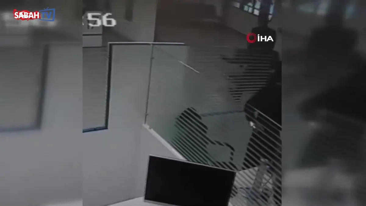 Bankada işlem yaparken üzerine kedi düştü | Video videosunu izle Bankada işlem yaparken üzerine kedi düştü | Video videosunu izle
