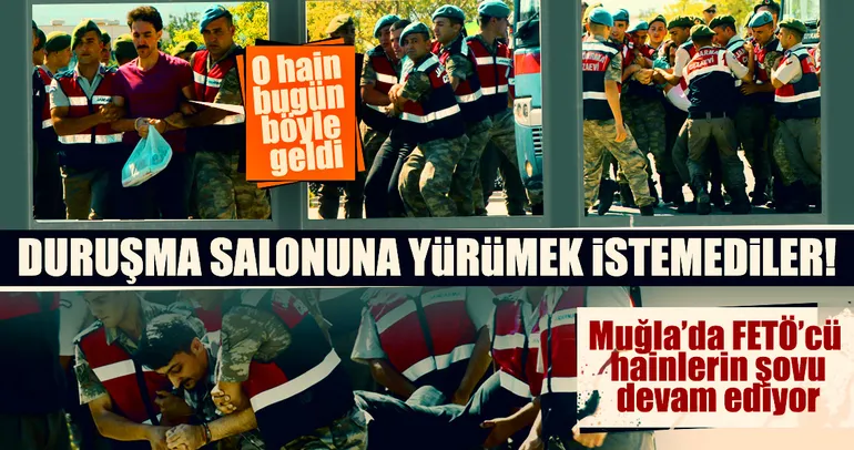 Menfez fareleri yine olay çıkardı