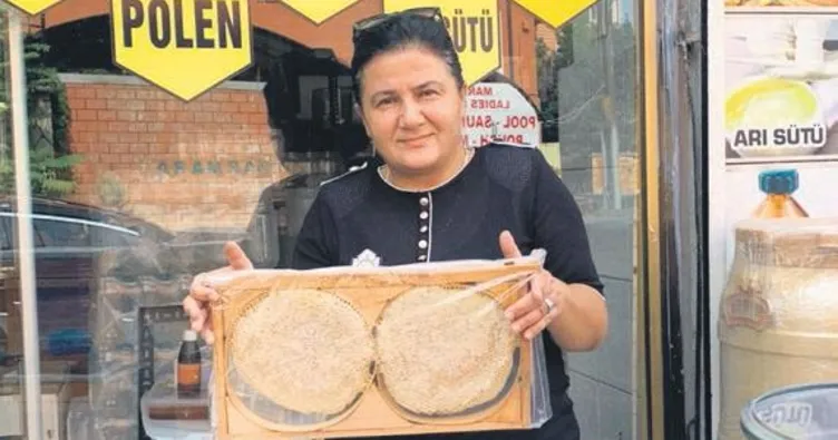 Korktuğu arılar geçim kapısı oldu