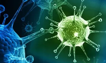 Beta virüsü nedir? Beta virüsü nasıl tedavi edilir?