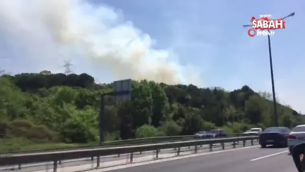 TEM otoyolu Kavacık mevkiinde ormanlık alanda yangın çıktı