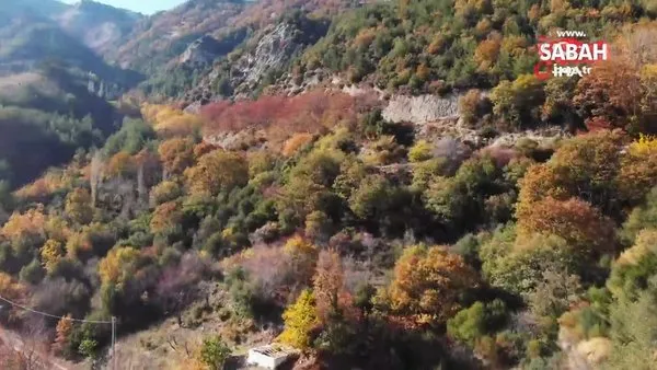 Denizli'de sonbaharın oluşturduğu renk cümbüşü görenleri kendine hayran bıraktı | Video