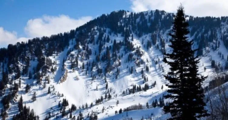 ABD’de çığ düşmesi sonucu 4 kayakçı hayatını kaybetti