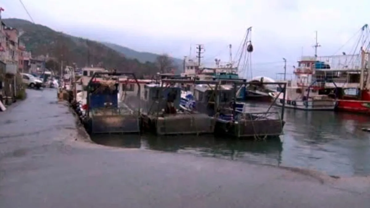 Denize düşen otomobilin sürücüsünü balıkçı boğulmaktan son anda kurtardı Denize düşen otomobilin sürücüsünü balıkçı boğulmaktan son anda kurtardı