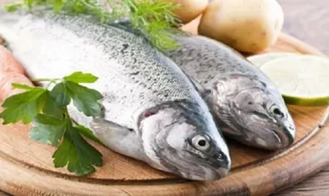 Balıklarda bulunan DHA’nın 12 faydası