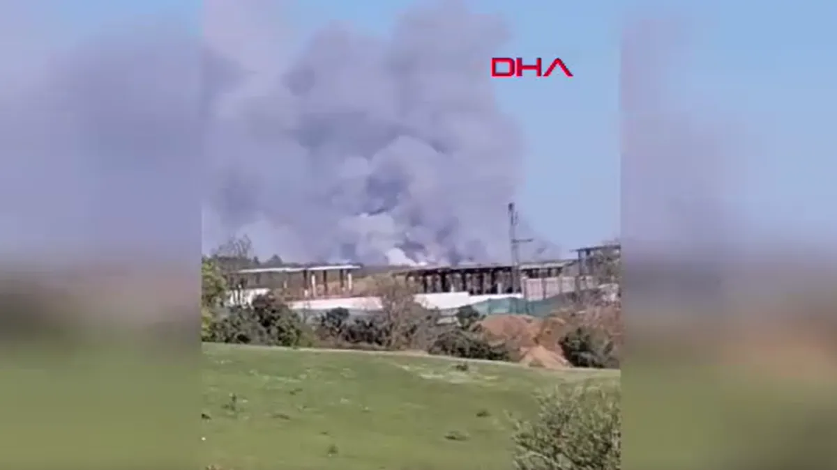 SON DAKİKA: Beykoz’da orman yangını! Müdahaleler sürüyor SON DAKİKA: Beykoz’da orman yangını! Müdahaleler sürüyor