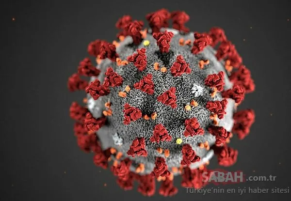Çin İstanbul Başkonsolosu’ndan son dakika koronavirüs açıklaması: Virüs o kadar korkunç değil