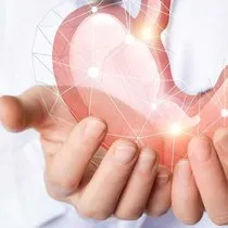 dolarne olur vercel app