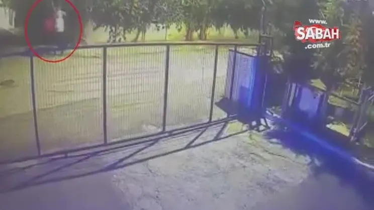 “Taklacı Güvercin” hırsızları... 18 taklacı güvercini çaldılar! | Video