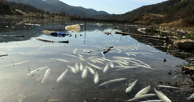 Karabük’te balık ölümlerine ilişkin inceleme başlatıldı