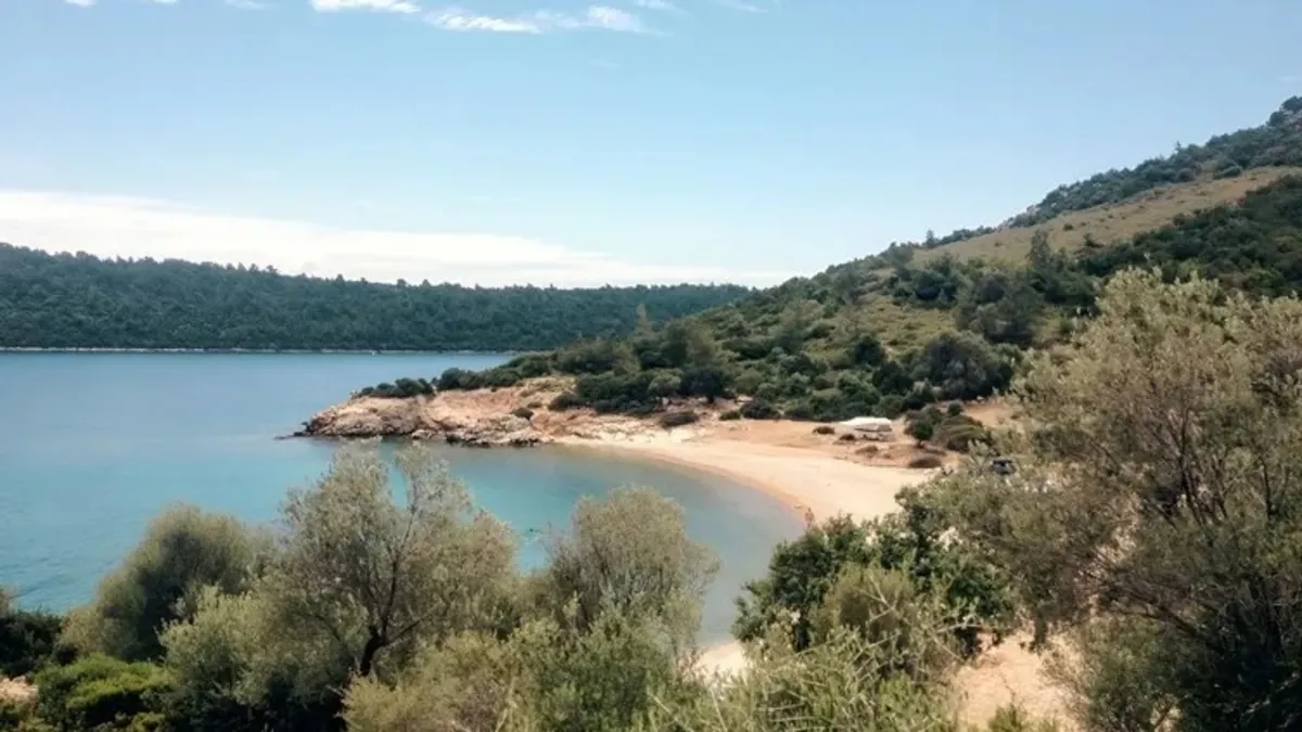 Sahte patron evsiz Steven çıktı Sahte patron evsiz Steven çıktı