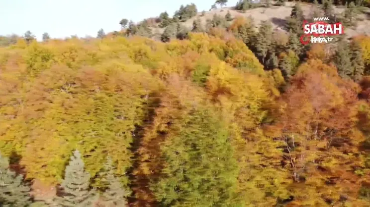 Abant'ta hazan mevsimi güzelliği | Video