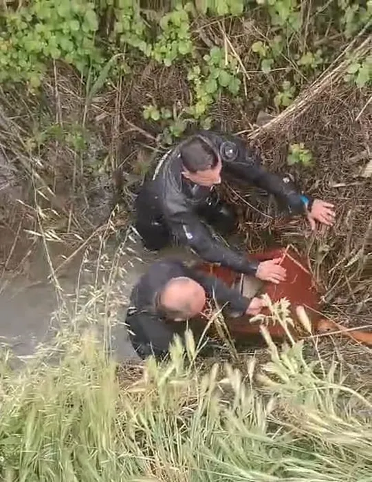 2 milyon TL’lik altın bulunan çelik kasa çalındı! Hırsızların kimliği herkesi şoke etti