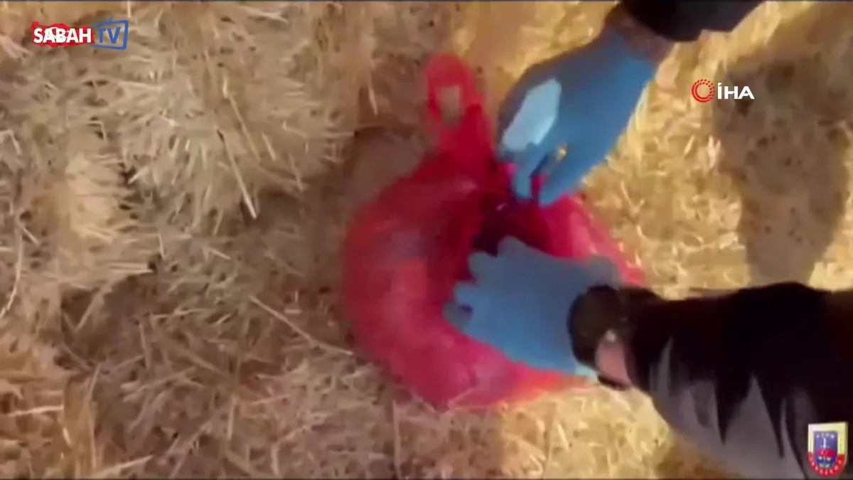 Kayseri’de jandarma ekipleri 2025 yılında 7 bin 900 aranan şahsı yakaladı | Video videosunu izle Kayseri’de jandarma ekipleri 2025 yılında 7 bin 900 aranan şahsı yakaladı | Video videosunu izle