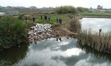 Adana’da at ve eşek eti operasyonu