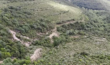 DNA örnekleri Adli Tıp’ta