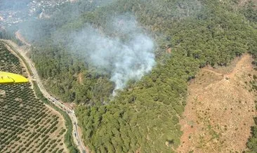 Muğla’da orman yangını: Ekipler müdahale ediyor!