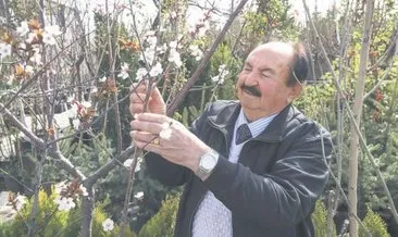 Emekli ormancının ‘fidan’ aşkı 56 yıldır devam ediyor