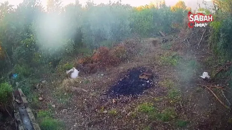 50 tavuğu ortadan kaybolan adam, gerçeği kamera görüntülerini izleyince fark etti | Video
