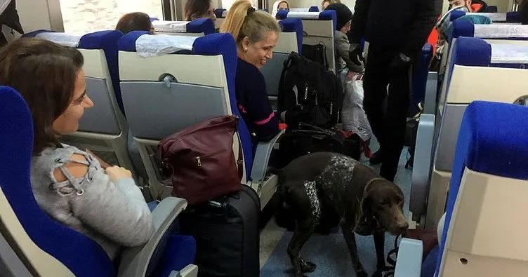 Yolcu treni dedektör köpeklerle arandı