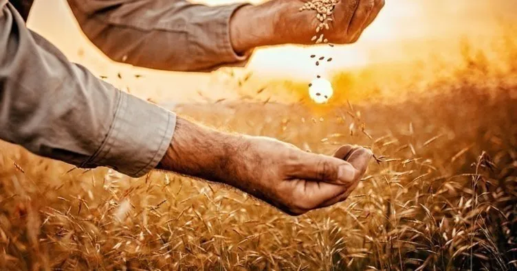 2022 MAZOT VE GÜBRE DESTEĞİ yattı mı, ne zaman yatacak, ödendi mi? TC kimliğin son hanesi "8" olanlara Mazot ve Gübre desteği ne zaman yatacak?