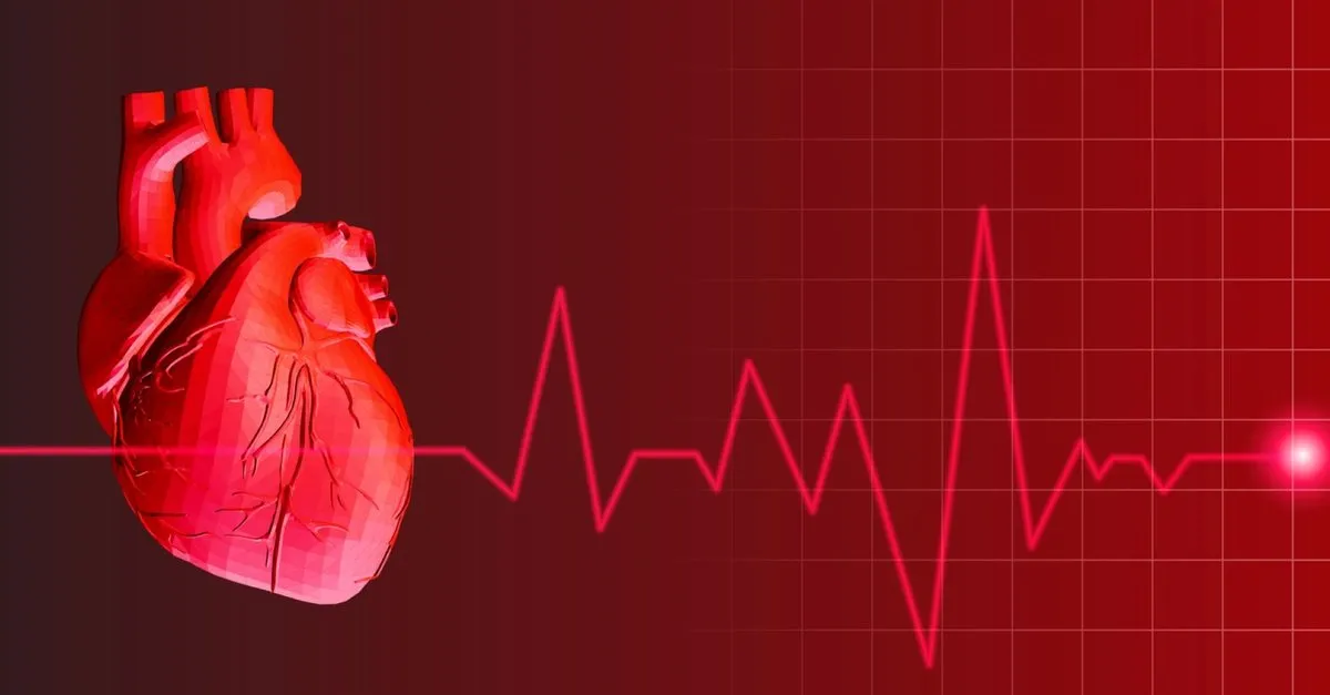 Kalp Carpintisi Neden Olur Iste Kalp Carpintisinin Nedenleri Saglik Haberleri