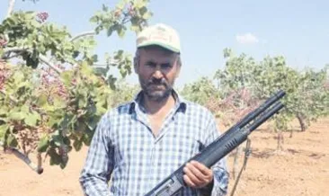 ‘Yeşil altın’a silahlı nöbet