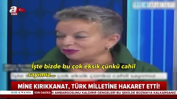 Mine Kırıkkanat, CHP'nin kanalında Türk Milleti'ne ve AK Parti seçmenine hakaretler yağdırdı | Video