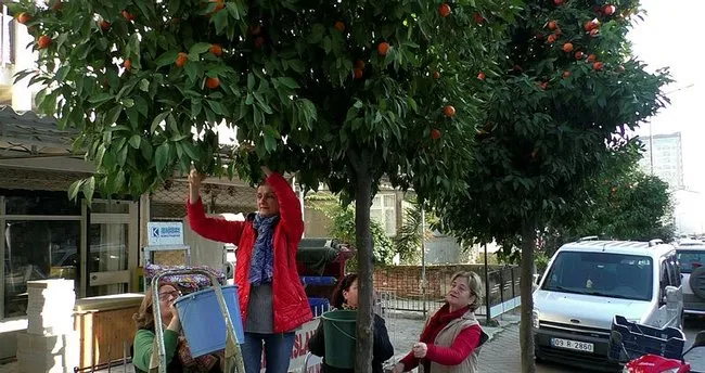 Bursa Spor Akademisi Nazilli Telah Bursa Spor Akademisi Nazilli Facebook