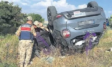 Tarla yolunda can pazarı #duzce