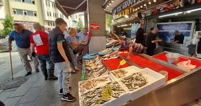 Trabzon'da palamut bolluğu #trabzon