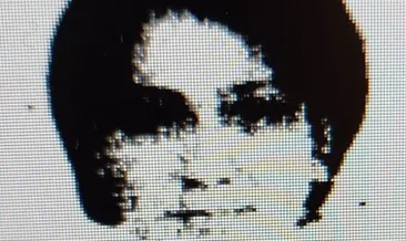 Pembe panjurlu intikam