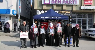 Muşlu aileler, DEM Parti önündeki