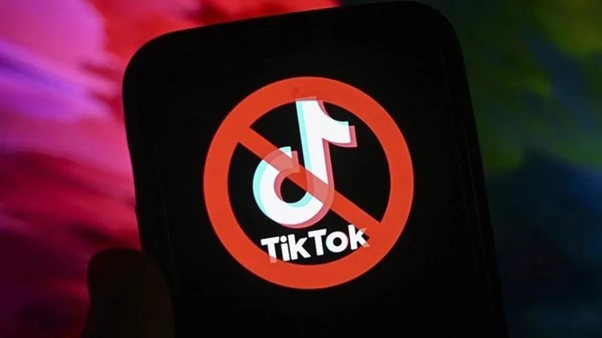 Fransa’dan TikTok’a soruşturma