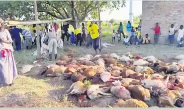 Kenya’da 34 kurban kestirdi